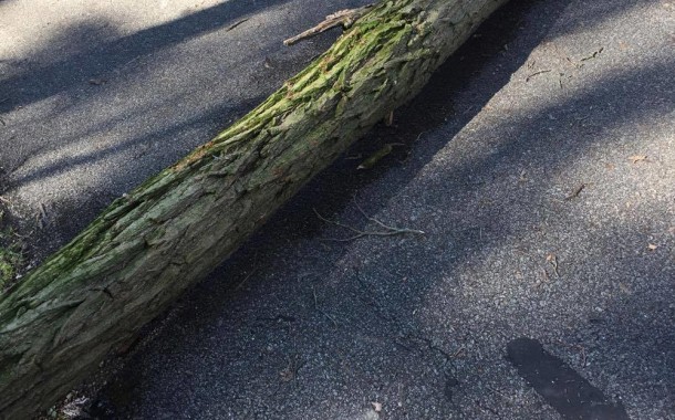 Near tragedy in Sagamore Hills when rider on Bike & Hike hits tree