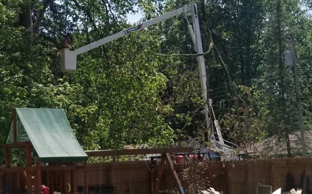 Nick's Tree Service to the Rescue for Tessa!