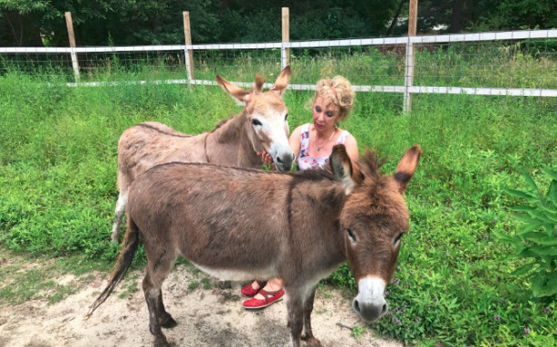 Klassy Kids Farm Fundraiser August 5th 2017 (VIDEO and PHOTOS)