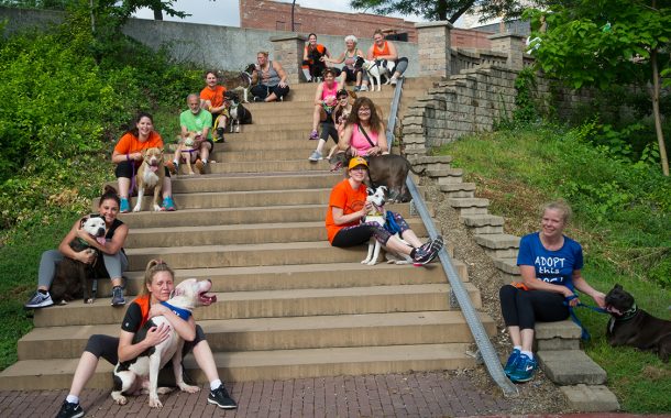 Volunteers from Running Dog Take Pups from Summit County Shelter for a 2 Mile Pack Run