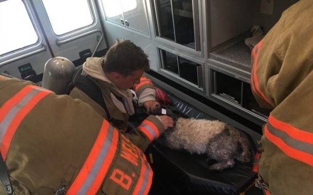 Vic's Corner: Macedonia Fire Department Saves Dog at Sagamore Hills Condo Fire