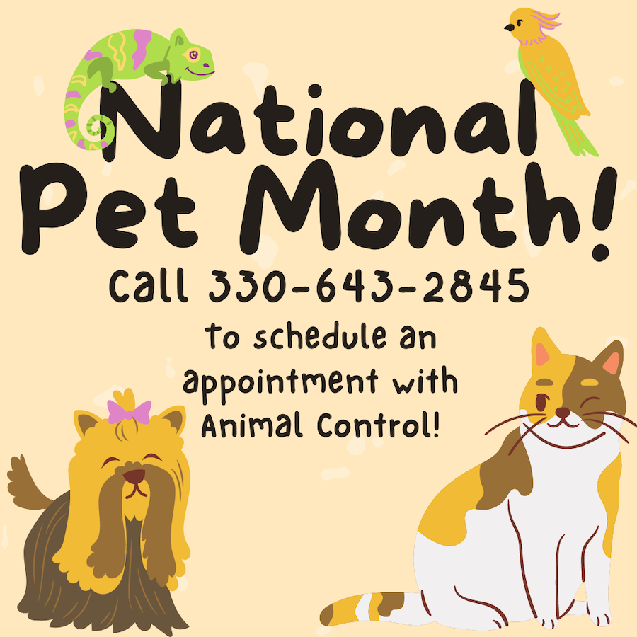 County Executive Shapiro announces National Pet Month Adoption Event