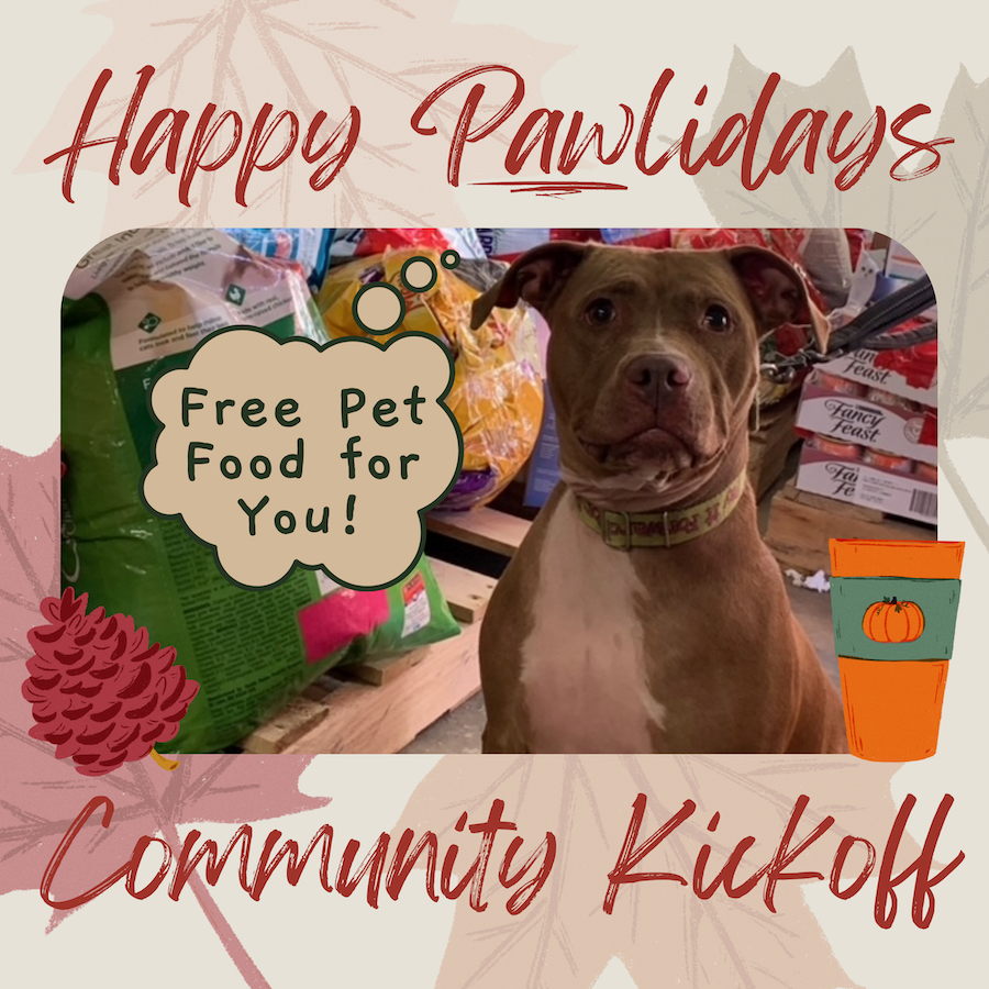 Celebrate the “Pawlidays” at Summit County Animal Control's Community  Kickoff Event – Nordonia Hills News