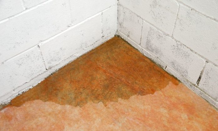 How to Prevent Water Damage in Your Basement