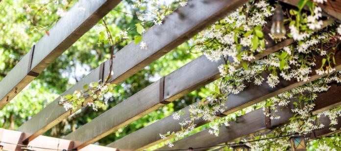 The Best Materials to Use for a Pergola