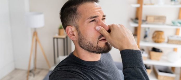 Common Causes of Bad Smells in Your Home