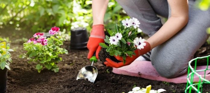 Backyard Improvements That Boost Your Home’s Value