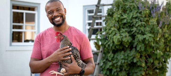 3 Things Every New Chicken Owner Needs To Know