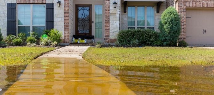When the Waters Recede: What To Do After a Flood