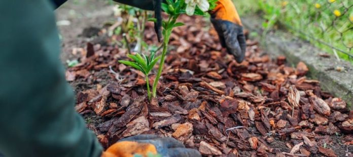 The Many Different Types of Mulch