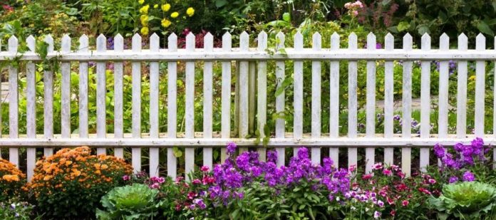 Things To Consider Before Choosing Fence Material