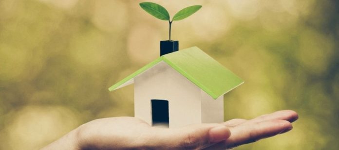 Excellent Ways To Start Building a Green Home