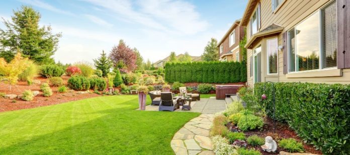 How To Make Your Backyard More Sustainable