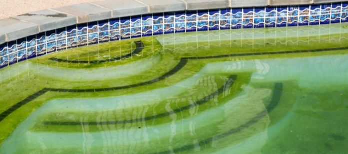 Ways To Revitalize Your Neglected Swimming Pool