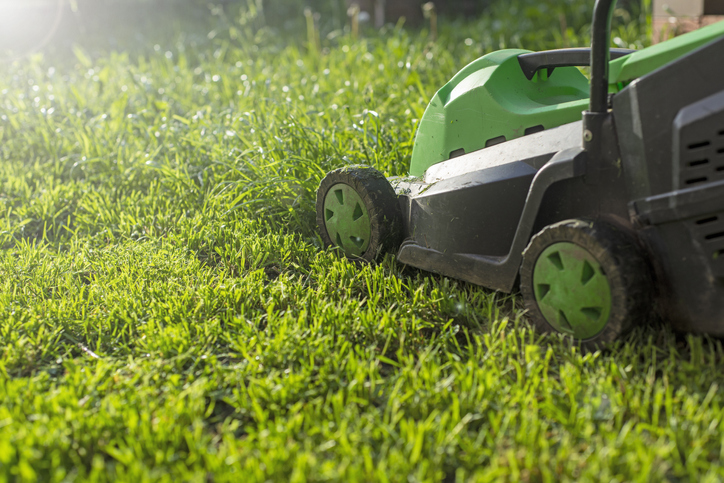 Lawn Care Across the Seasons: A Yearly Calendar for Home Improvement
