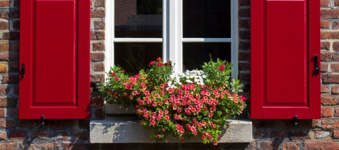 Window surrounded by red brick with a white frame, red shutters, and a planter box containing red and white flowers.