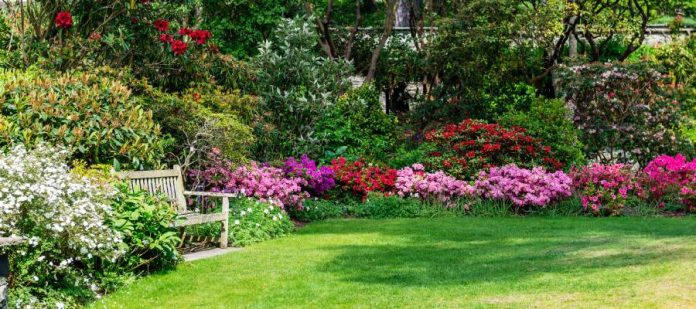 A garden of red, pink, white, and purple flowers surrounds a wooden bench. Large shrubs appear in the garden.