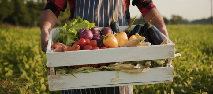 A farmer in their field holding a wooden crate full of organic produce, including tomatoes, onions, and eggplants.