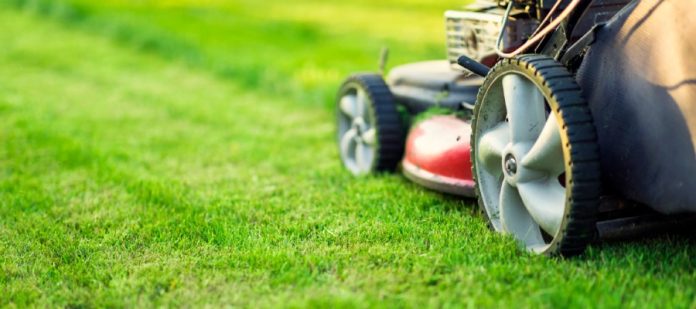 A mower making its way through some uncut grass. Most of the grass seen has been cut to be very short.