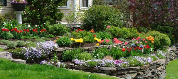 A landscaped residential yard. There are several levels of plants and stone walls keeping the soil from spilling out.