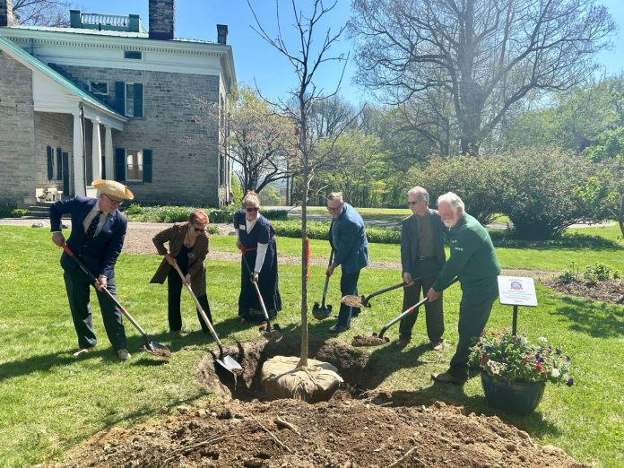 Summit County Heritage Tree Planting: America 250-Ohio