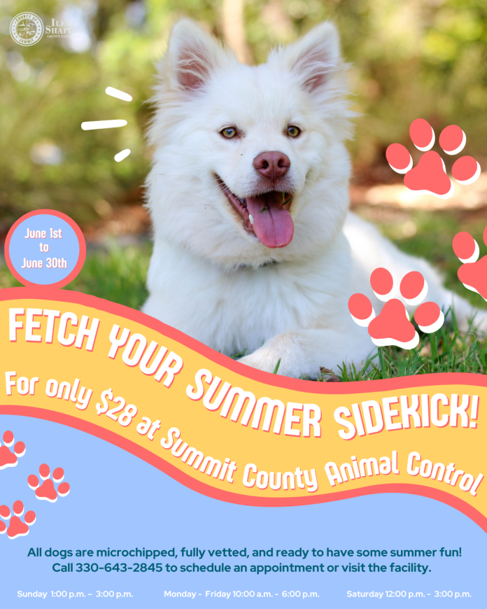 Summit County Animal Control Adoption Event: $28 Dogs