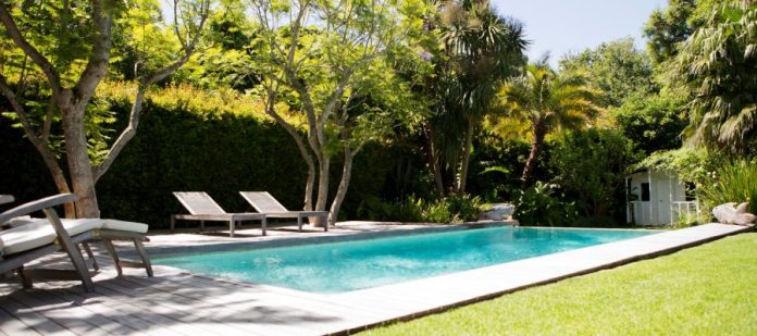 Sunny garden patio with a rectangular swimming pool, lounge chairs, trimmed grass, and dense tropical greenery.