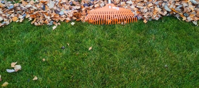 An orange plastic rake with a wooden handle sits on a small pile of leaves. The leaves sit on green grass.